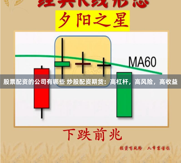 杠杆与风险的博弈：透视浙嘉配资的资本江湖