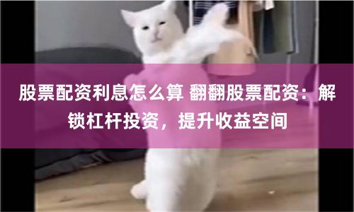 东北期货配资